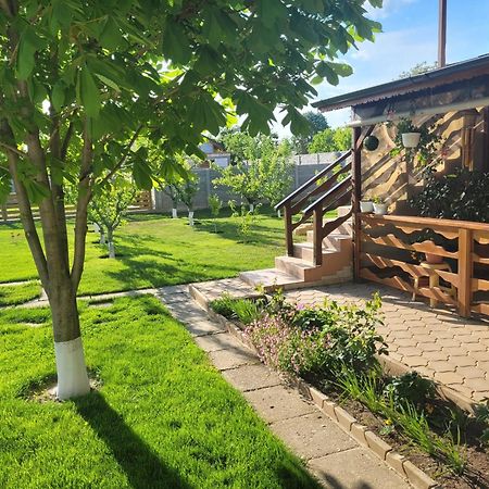 Casa Viviana Hotel Baia Екстериор снимка