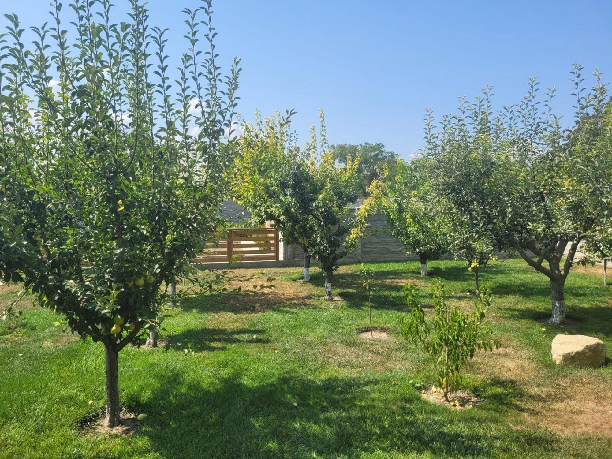 Casa Viviana Hotel Baia Екстериор снимка