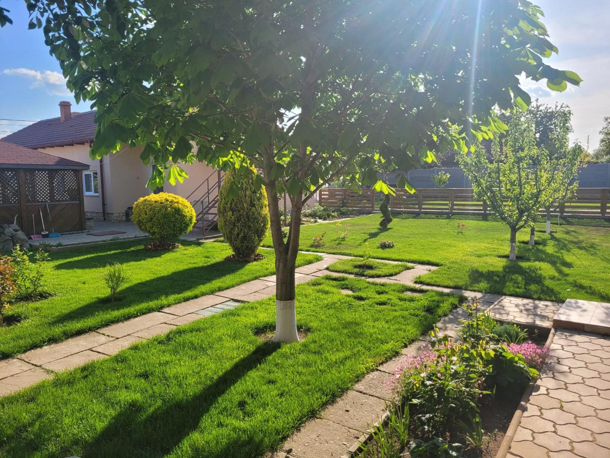Casa Viviana Hotel Baia Екстериор снимка